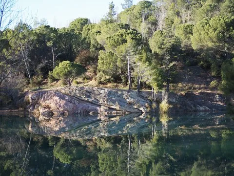 nature var