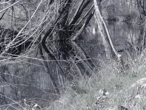 nature var